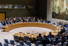 El fracaso de la burocracia dorada: Venezuela y la inoperancia de la ONU, el Consejo de Seguridad y la CELAC
