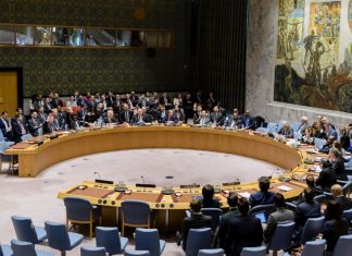 El fracaso de la burocracia dorada: Venezuela y la inoperancia de la ONU, el Consejo de Seguridad y la CELAC