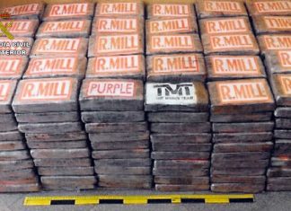 España y Portugal incautan 475 kilos de cocaína enviada desde Sudamérica
