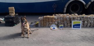 Incautación de 800 Kg de marihuana en Río Branco.