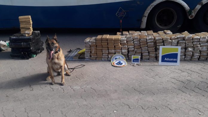 Incautación de 800 Kg de marihuana en Río Branco.