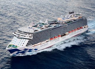Princess Cruises suspendió por dos meses sus operaciones por el brote de coronavirus