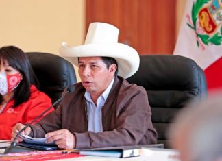 La ONU califica de “arbitraria” la detención del expresidente golpista Pedro Castillo y pide su liberación; expertos en Perú aclaran que el fallo no es vinculante