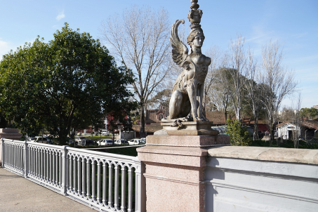 20230815dicimouyaf0009