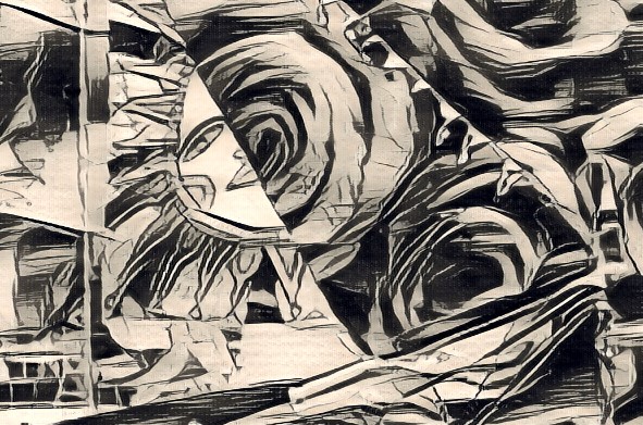 La rosa del Capitan Miranda