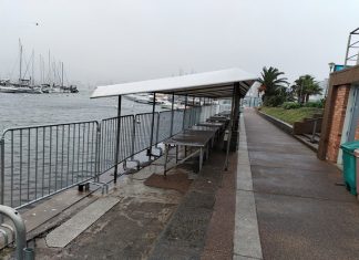 Lobos marinos afectados de gripe aviar en Uruguay: colocan vallado en Punta del Este para evitar contacto con la gente