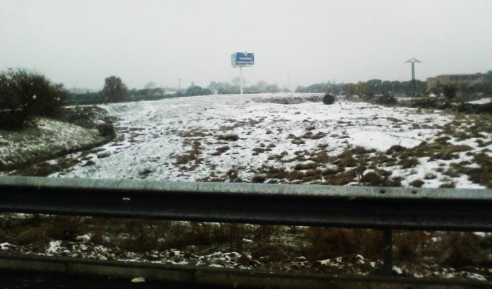 Foto-0004-2