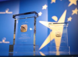 Atención América Latina: quedan pocos días para postularse a los premios de la Asociación Global de Energía