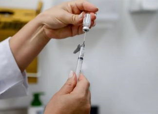 Brasil supera los 4 millones de casos de dengue; las muertes llegan a 1.937