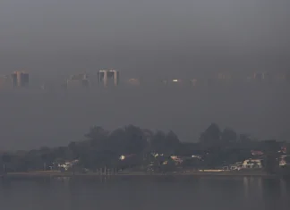 Contaminación: crece un 60% la emisión de gases de efecto invernadero por incendios en la Amazonía