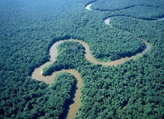 Colombia: la revolución energética que emerge entre los Andes y el Caribe