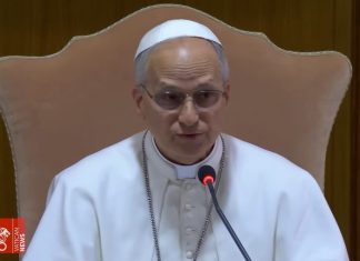 El Papa León XIV defendió la libertad de expresión y pidió la liberación de periodistas encarcelados