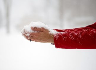 Ola polar llega al Río de la Plata: pronostican que podría nevar en algunas zonas inusuales de Uruguay y Argentina