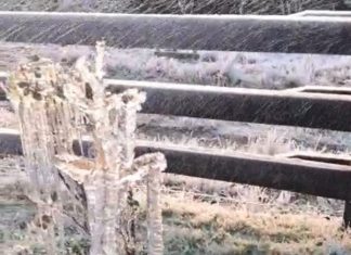 Chile y Argentina se posicionaron entre los lugares más fríos del planeta. Temperaturas extremas y fuertes repercusiones (Vídeos)