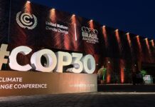 Brasil acoge la Cumbre del Clima: líderes mundiales debaten sobre transición energética y conservación ambiental