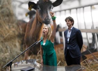 “Juramentos, piquetes y piropos: fauna exótica en el Congreso argentino”