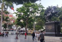 Expertos de la ONU advierten sobre ilegalidad de presiones de Estados Unidos para “cerrar” el espacio aéreo de Venezuela