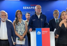 Aumenta a 21 la cifra de muertos y supera las 20 mil personas el total de damnificados por incendios forestales en el sur de Chile