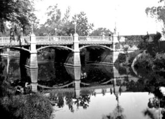 La masiva seguridad o el crespúsculo de la libertad (Cap. 1)