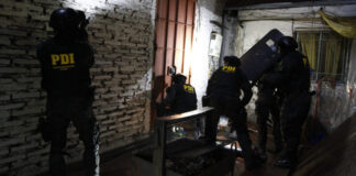 Chile: Plan Cannabis 2026 culmina con más de 111 mil plantas incautadas y 58 millones de dosis fuera de circulación