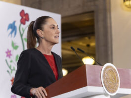 Gobierno de México plantea reforma a la ley electoral para evitar que haya candidatos con vínculos con la delincuencia organizada