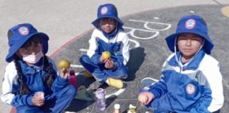 Bolivia: Bloqueos de rutas de seguidores de Evo Morales dejan sin desayuno escolar a niños en los municipios de El Alto y Cochabamba
