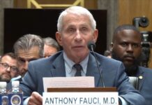 Comité del Senado de EEUU declara en desacato al Dr. Anthony Fauci tras negarse a responder sobre los orígenes del COVID-19