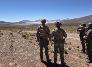 Operativo binacional Chile-Bolivia deja 20 detenidos, 23 vehículos robados recuperados y decomiso de marihuana
